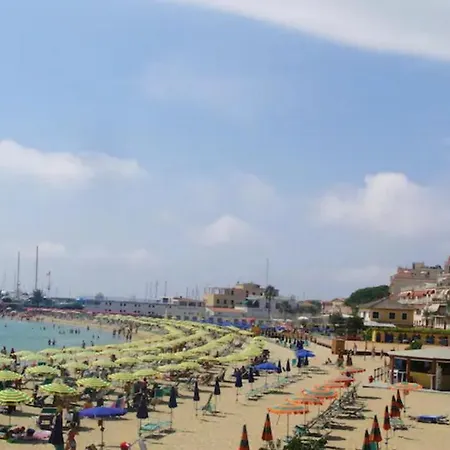 Rosa Centralissimo *