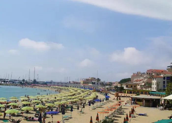 Rosa Centralissimo *